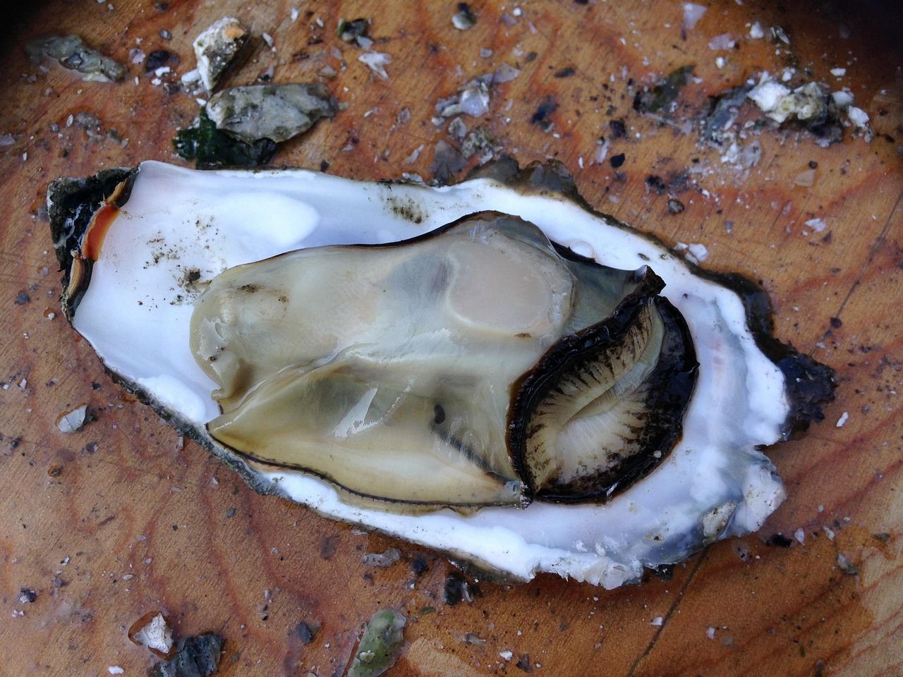 Aquatic Aromas: dining in Best Seafood Restaurants in Ireland